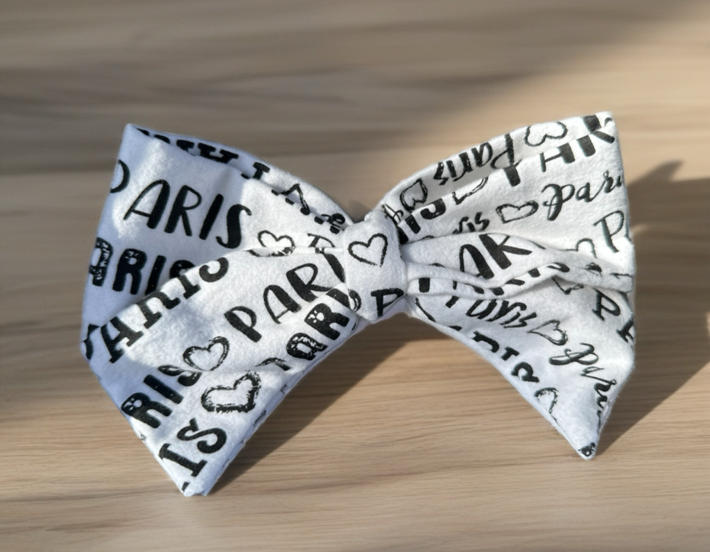 Hair Clip Ribbon Paris